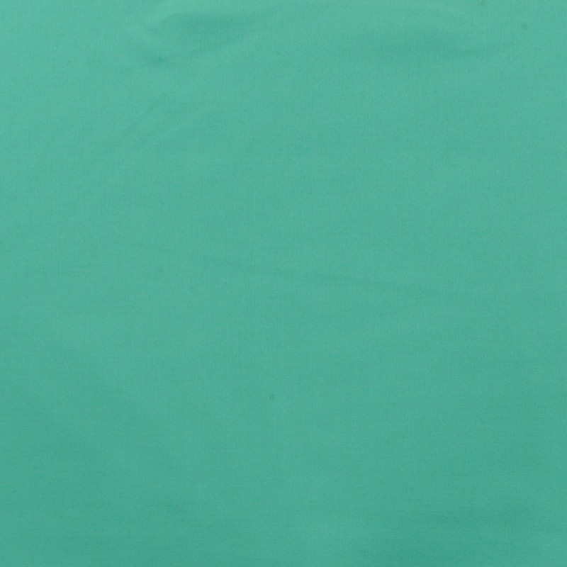 Coupon 3m Tissu Luciano Punta Vert Clair